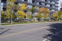 a city street in the autumn with an empty roadway leading to a building with a glass front