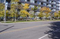 a city street in the autumn with an empty roadway leading to a building with a glass front