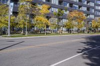 a city street in the autumn with an empty roadway leading to a building with a glass front