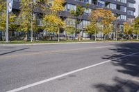 a city street in the autumn with an empty roadway leading to a building with a glass front