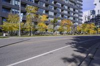 a city street in the autumn with an empty roadway leading to a building with a glass front