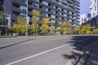 a city street in the autumn with an empty roadway leading to a building with a glass front