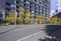 a city street in the autumn with an empty roadway leading to a building with a glass front