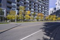 a city street in the autumn with an empty roadway leading to a building with a glass front