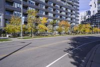 a city street in the autumn with an empty roadway leading to a building with a glass front