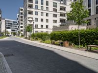 an empty city street between two high rise apartment buildings with plants lining either side and a park bench next to the road