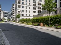 an empty city street between two high rise apartment buildings with plants lining either side and a park bench next to the road