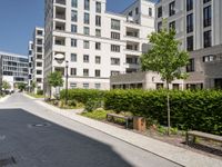 an empty city street between two high rise apartment buildings with plants lining either side and a park bench next to the road