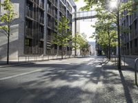 a sunbeam shines on a city street with trees on either side of the road