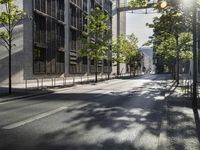 a sunbeam shines on a city street with trees on either side of the road