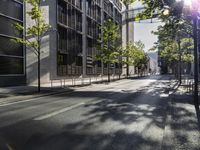 a sunbeam shines on a city street with trees on either side of the road