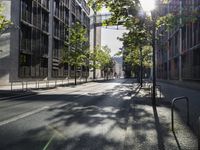 a sunbeam shines on a city street with trees on either side of the road