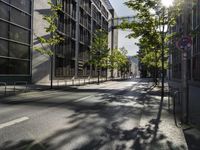 a sunbeam shines on a city street with trees on either side of the road