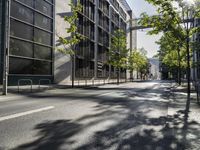 a sunbeam shines on a city street with trees on either side of the road