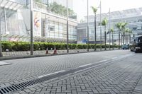 an image of the city street that has some buildings near by it and trees on either side