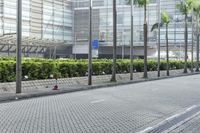 an image of the city street that has some buildings near by it and trees on either side