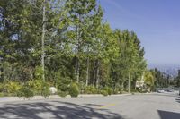 an image of some bushes and trees on a city street in the daytime sun with a car in the foreground