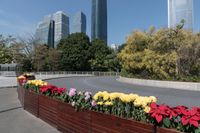 a flower filled planter along side a road near large building's in the background