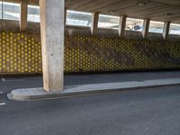 City Street in Holland: Patterned Asphalt Road Surface