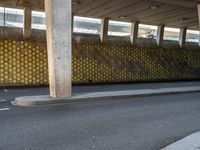 City Street in Holland: Patterned Asphalt Road Surface