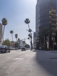 City Streets: Street Lights Illuminating the Asphalt Road