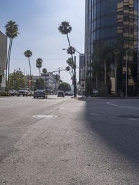 City Streets: Street Lights Illuminating the Asphalt Road