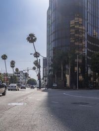 City Streets: Street Lights Illuminating the Asphalt Road