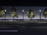 City Street Light at Midnight: Illuminating the Urban Landscape