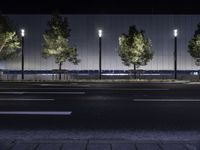 City Street Light at Midnight: Illuminating the Urban Landscape