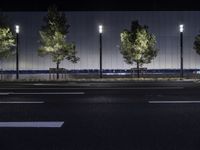 City Street Light at Midnight: Illuminating the Urban Landscape