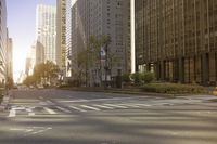 city street and busses near tall building with sky blue sky background, with a traffic cone on side