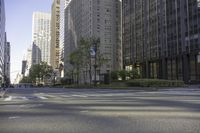 city street and busses near tall building with sky blue sky background, with a traffic cone on side