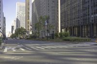 city street and busses near tall building with sky blue sky background, with a traffic cone on side