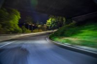 a dark street in the night with a curve with a lot of green leaves on it