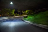 a dark street in the night with a curve with a lot of green leaves on it