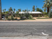 a city street lined with parked cars and palm trees in the background of this photo