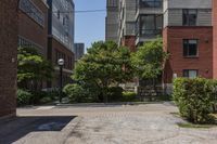 a sidewalk leading to some buildings and trees in a city street area by a park