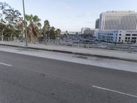 a skate boarder in action on the city street near buildings and palm trees in the distance