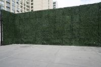 a view of a road through tall buildings with green hedges next to the curb and a gate