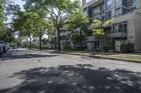 a city street with several tall trees and green lawns with parked cars on one side and two on the other