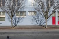 a street with trees and a fire hydrant in front of a blue building with windows