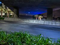 a city street with palm trees and bushes beneath a bridge at night, with people walking up a path and one person skateboarding