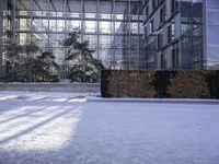 a snow covered area with bushes and shrubs next to glass buildings and glass walkways