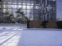 a snow covered area with bushes and shrubs next to glass buildings and glass walkways