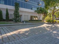 an apartment building with some glass windows and trees in the courtyard area of it to the sidewalk