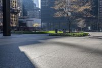 the shadows on the ground in this city are quite impressive to see, and a man is walking through the park