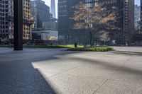 the shadows on the ground in this city are quite impressive to see, and a man is walking through the park