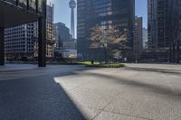 the shadows on the ground in this city are quite impressive to see, and a man is walking through the park