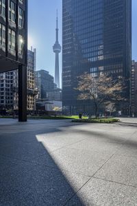 the shadows on the ground in this city are quite impressive to see, and a man is walking through the park