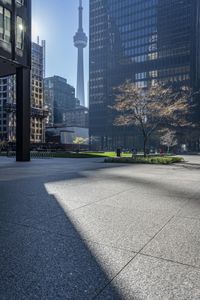 the shadows on the ground in this city are quite impressive to see, and a man is walking through the park